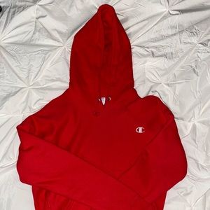 brand new never worn champion hoodie